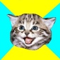 User picture for Dick Shanker