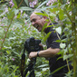 User picture for David Aylieff-Sansom