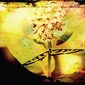 User picture for josef sumner