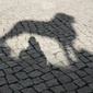 User picture for Jan Gaebler