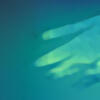 User picture for miobi photography