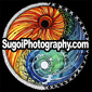 User picture for Christopher Myers