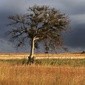 User picture for Jon Kwok