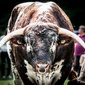 User picture for Toby Keane