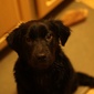 User picture for Shawn Kruse