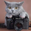 User picture for Jay Jay