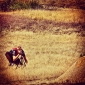 User picture for Reed Switzer