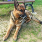 User picture for Marco Miliani