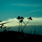 User picture for Nina Lesley Lombardo