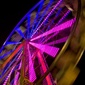 User picture for julian hughs