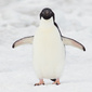 User picture for John Chardine