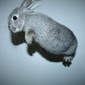 User picture for Daniel Lee