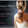 User picture for Prestige Photo