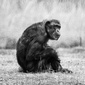 User picture for Drew Morris