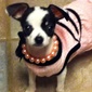 User picture for heidi n