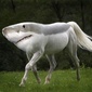 User picture for Sebastien Boyer