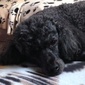 User picture for Cydnie Molloy
