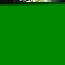 User picture for Tony Hoang