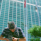 User picture for DJ Toman