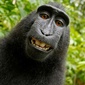 User picture for Juan Del Pueblo