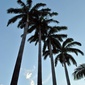 User picture for otoniel gonzalez