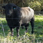 User picture for Paul Doherty