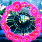 User picture for Paola De Giovanni