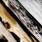 User picture for Javier Garcia Sanchez