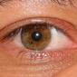 User picture for Bruno Gomes