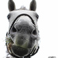 User picture for Jeff Bellantine