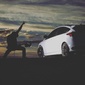 User picture for Aleksandr Poltavskiy