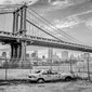 User picture for Dave Levisohn