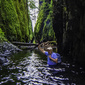 User picture for Mike Lowery