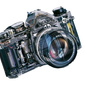 User picture for Yan Shapa