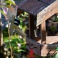 User picture for Gordon McAllen
