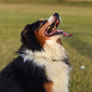 User picture for Tina Starkweather