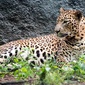 User picture for Srinivasan Krishnamurthi