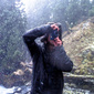 User picture for Justin Hartney
