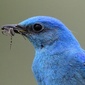 User picture for Robbie Keene