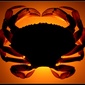 User picture for Peter Grifoni