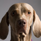 User picture for David Ruddle