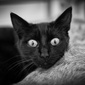 User picture for Aidan CK