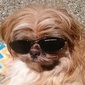 User picture for Graham Swayze