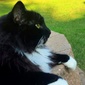 User picture for Angie Brazier