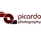User picture for Marquicio Pagola