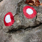 User picture for ohnOMon Photo
