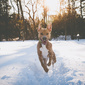 User picture for Andy Schmidt