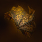 User picture for Paul Barson