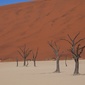 User picture for Gray Buetzow