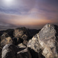User picture for Tilt Shift